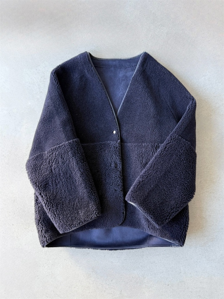 f:id:ASPSYCHE:20251201201203j:image