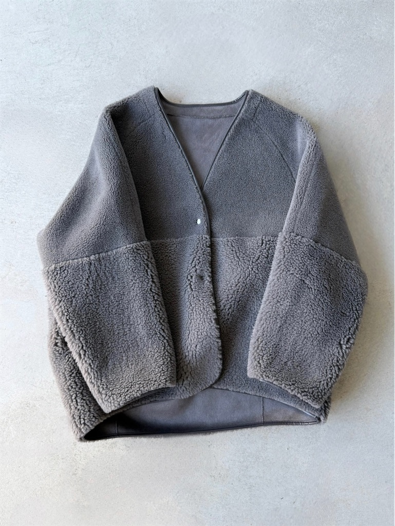 f:id:ASPSYCHE:20251201201206j:image