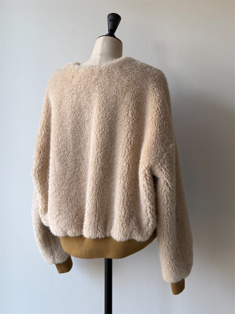 f:id:ASPSYCHE:20251201201208j:image