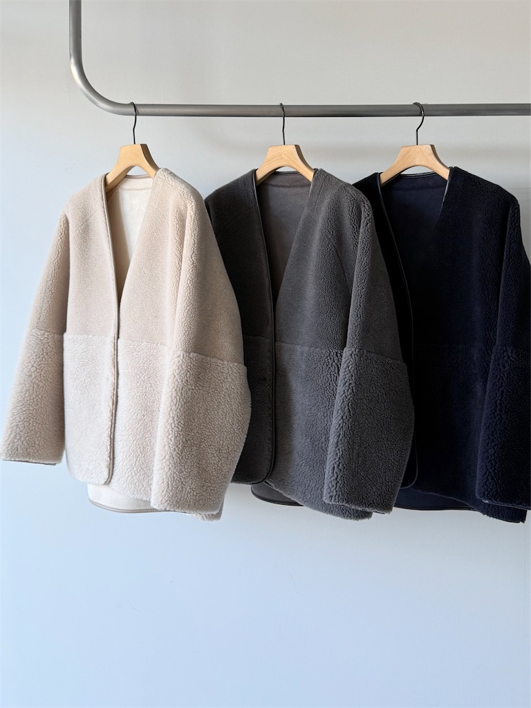 f:id:ASPSYCHE:20251201201210j:image