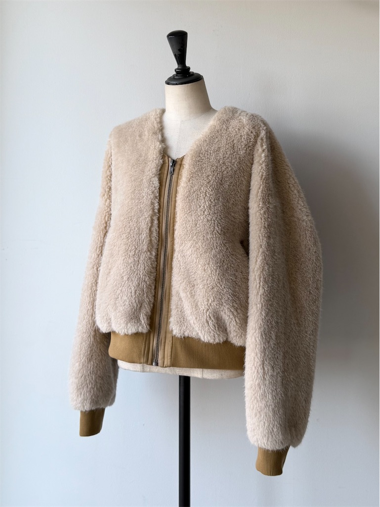 f:id:ASPSYCHE:20251201201212j:image