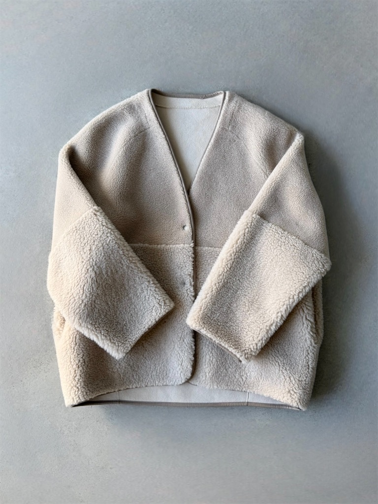 f:id:ASPSYCHE:20251201201225j:image