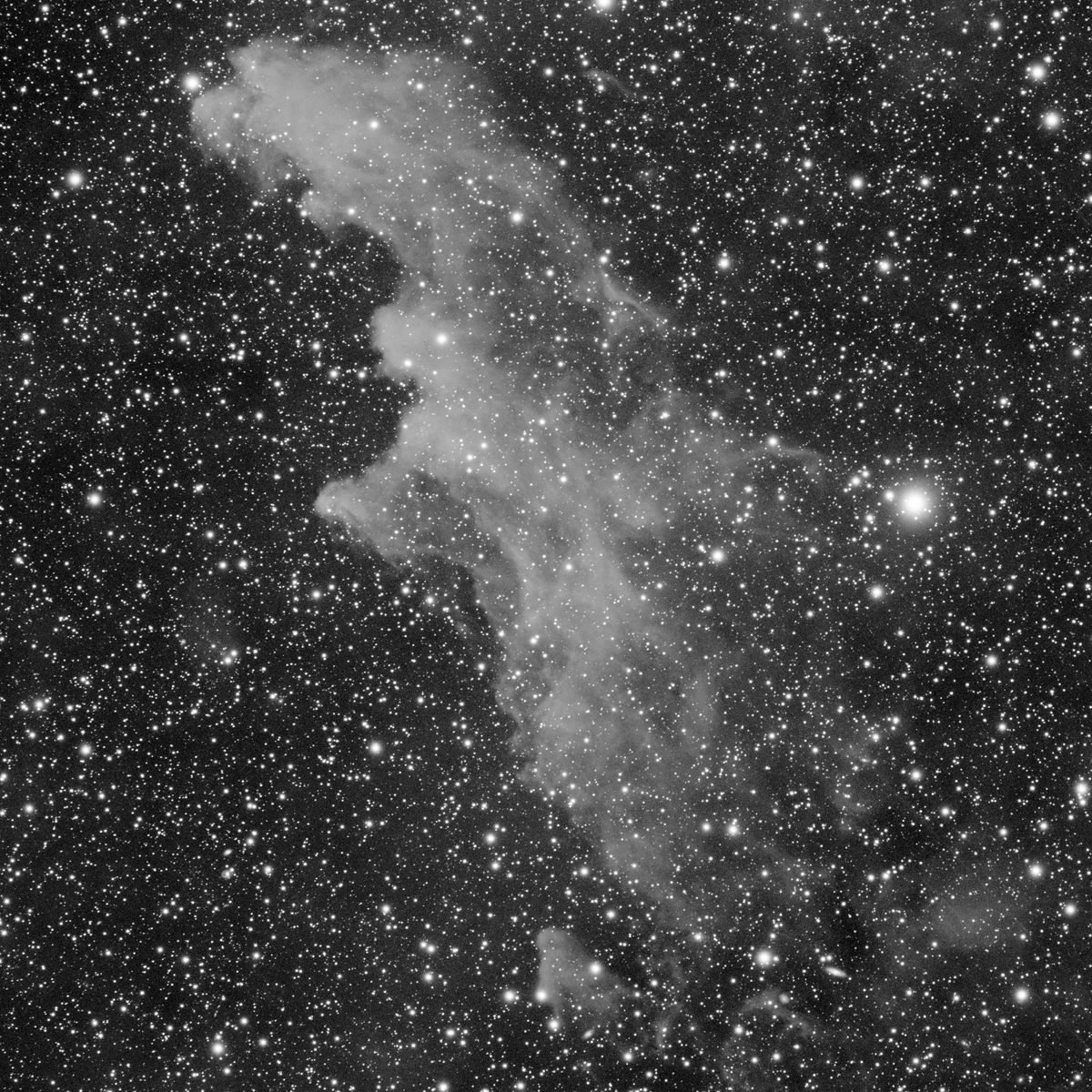 LRGBフィルターと魔女の横顔星雲（IC 2118） - 南国の星空