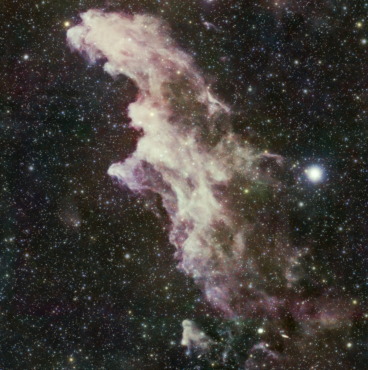 LRGBフィルターと魔女の横顔星雲（IC 2118） - 南国の星空