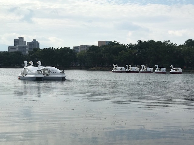 f:id:ASUDANE:20191113154123j:plain