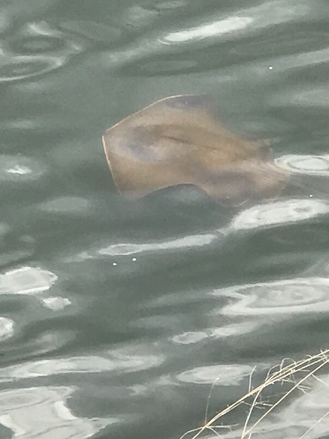 f:id:ASUDANE:20210805222042j:plain