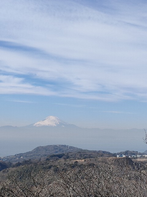 f:id:AT-K:20230112205612j:image f:id:AT-K:20230112205612j:image