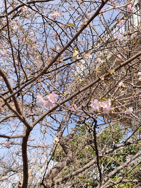 f:id:AT-K:20230112205748j:image f:id:AT-K:20230112205748j:image