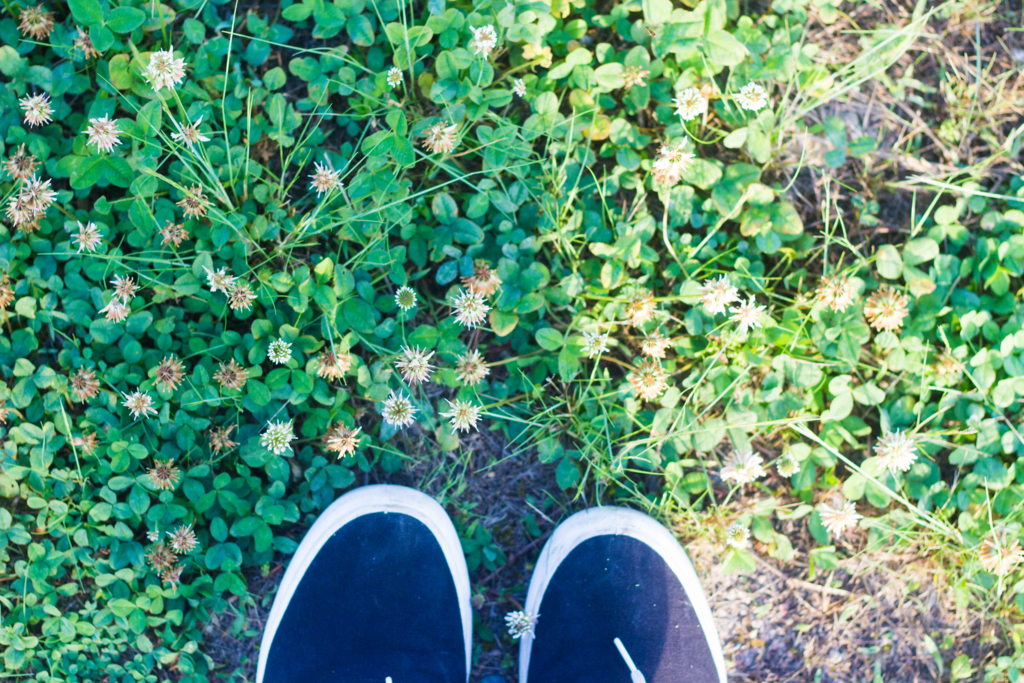 f:id:ATOHS:20170521135438j:plain