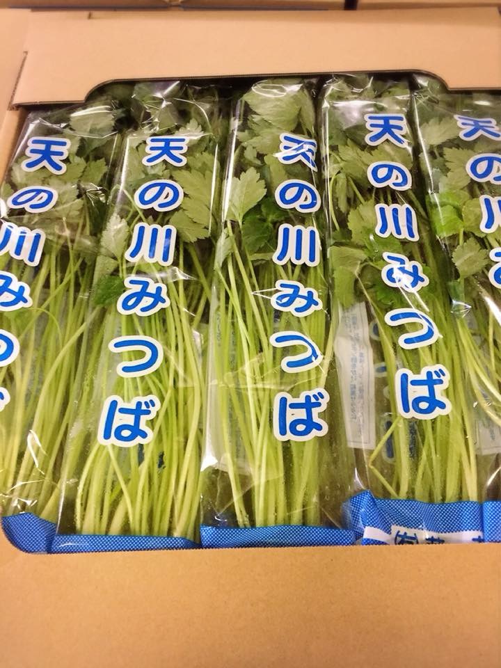 f:id:ATTAKA:20180225023959j:plain f:id:ATTAKA:20180225023959j:plain