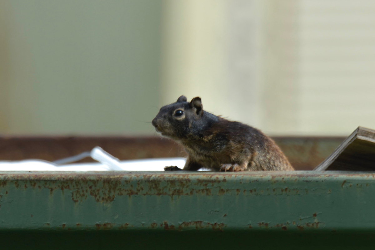 f:id:ATX_Domain:20211214111502j:plain