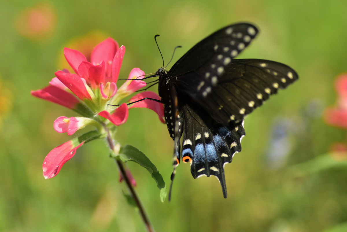 会議で使える英単語 ２ The Time You Enjoy Wasting Is Not Wasted Time
