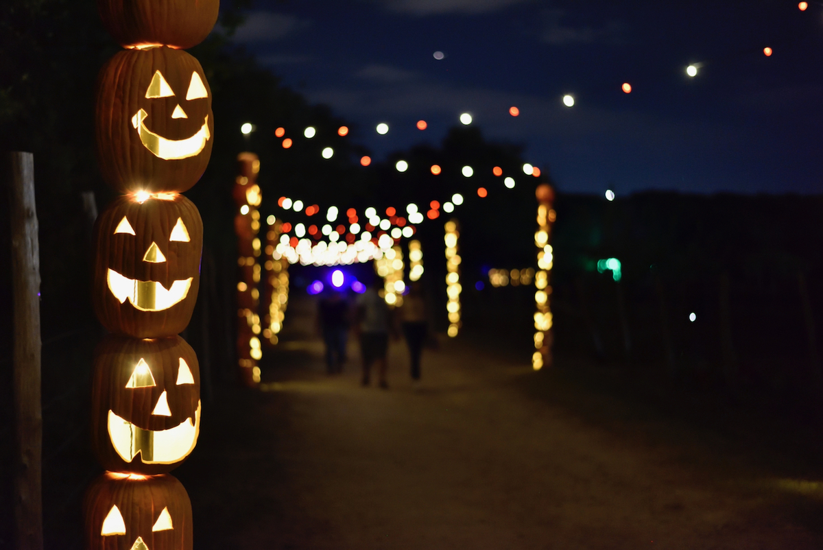 ハロウィン・イベント】Pumpkin Nights - THE TIME YOU ENJOY WASTING