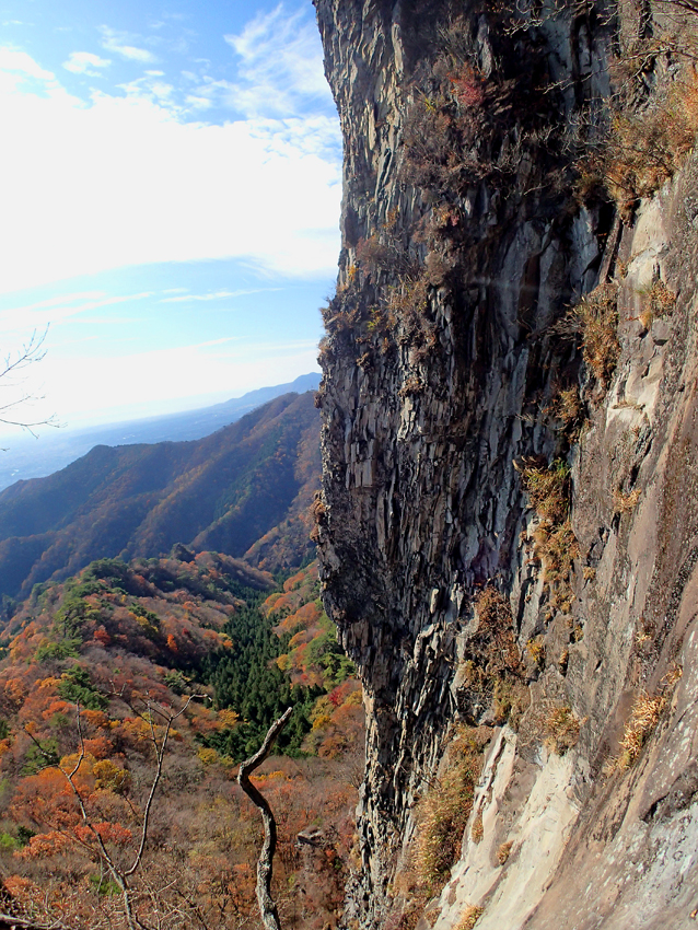 f:id:AVOCADO_SALAD:20141109135728j:image