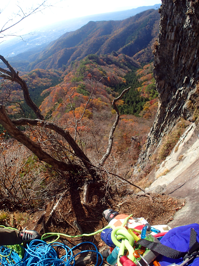 f:id:AVOCADO_SALAD:20141109135730j:image