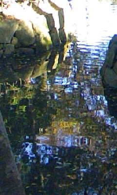 20081125130813
