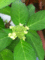 f:id:AVRIL:20110519095705j:image:small