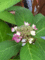 f:id:AVRIL:20110519095907j:image:small