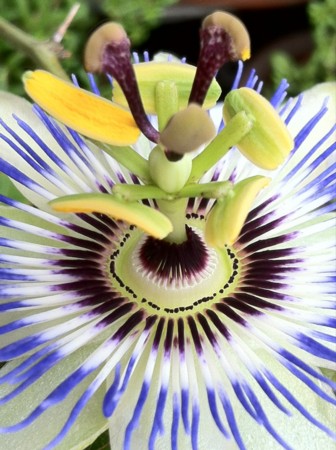 f:id:AVRIL:20120630093945j:image:w640:left