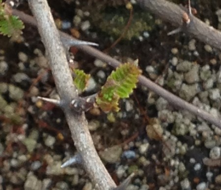 20130311121005