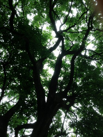 20130613003554