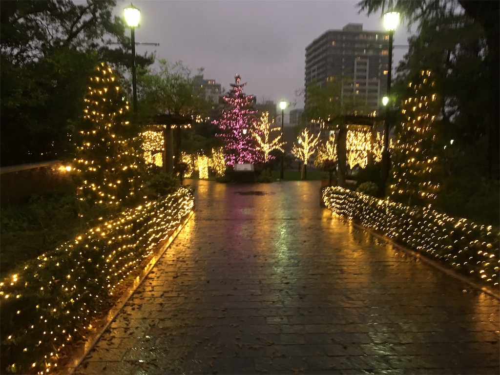 f:id:AYUMI_f:20191126114219j:image