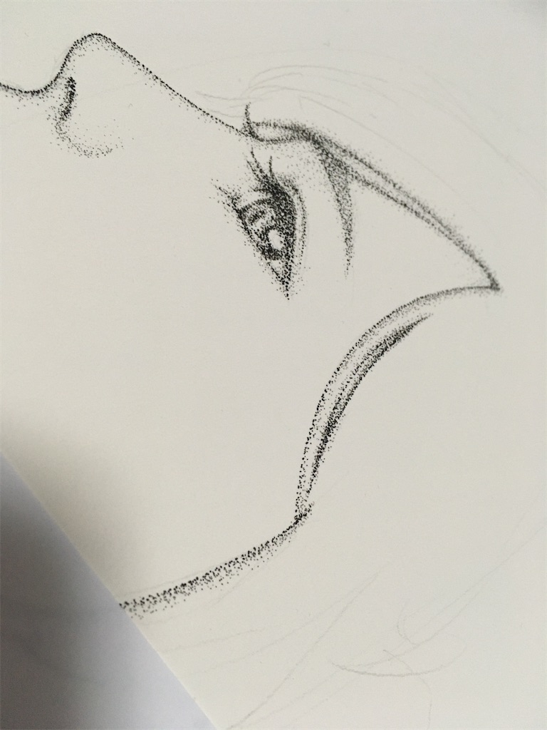 f:id:AYUMI_f:20200302173722j:image