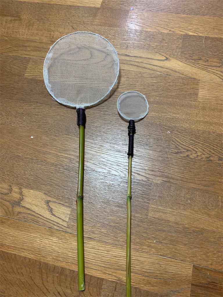 19 6 18 タモ網 初心者らんちゅう人