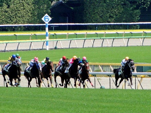 7/9(日)の狙い馬|軸馬予想 7/9(日)の狙い馬|軸馬予想