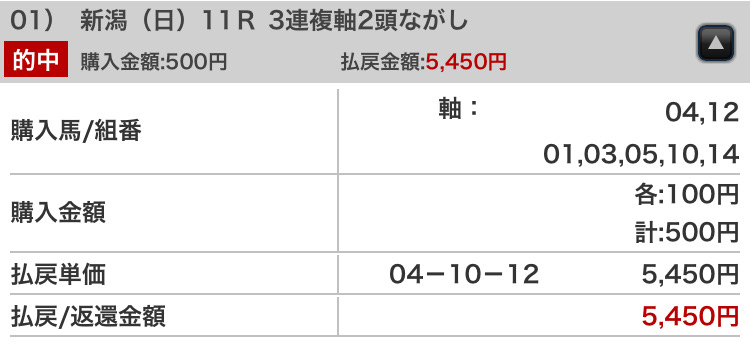 的中馬券