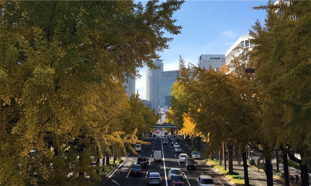 名古屋駅付近のイチョウ