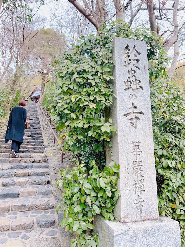 f:id:A_NO25:20200215194904j:image