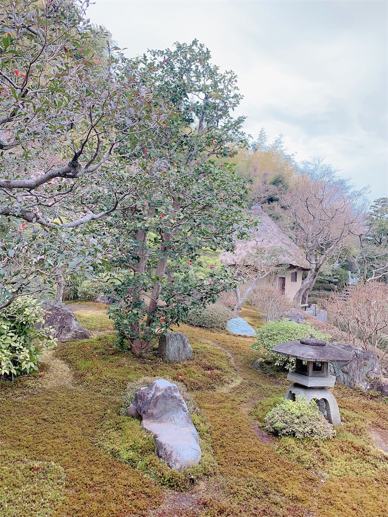 f:id:A_NO25:20200216000555j:image