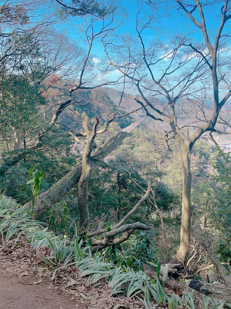 f:id:A_NO25:20200322002050j:image