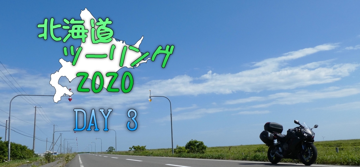 f:id:A_moyashi:20210117120408j:plain