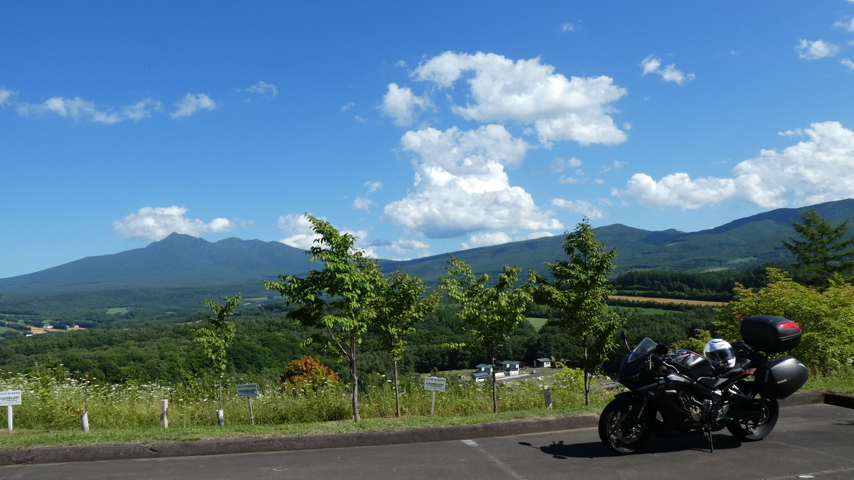 f:id:A_moyashi:20210125194019j:plain