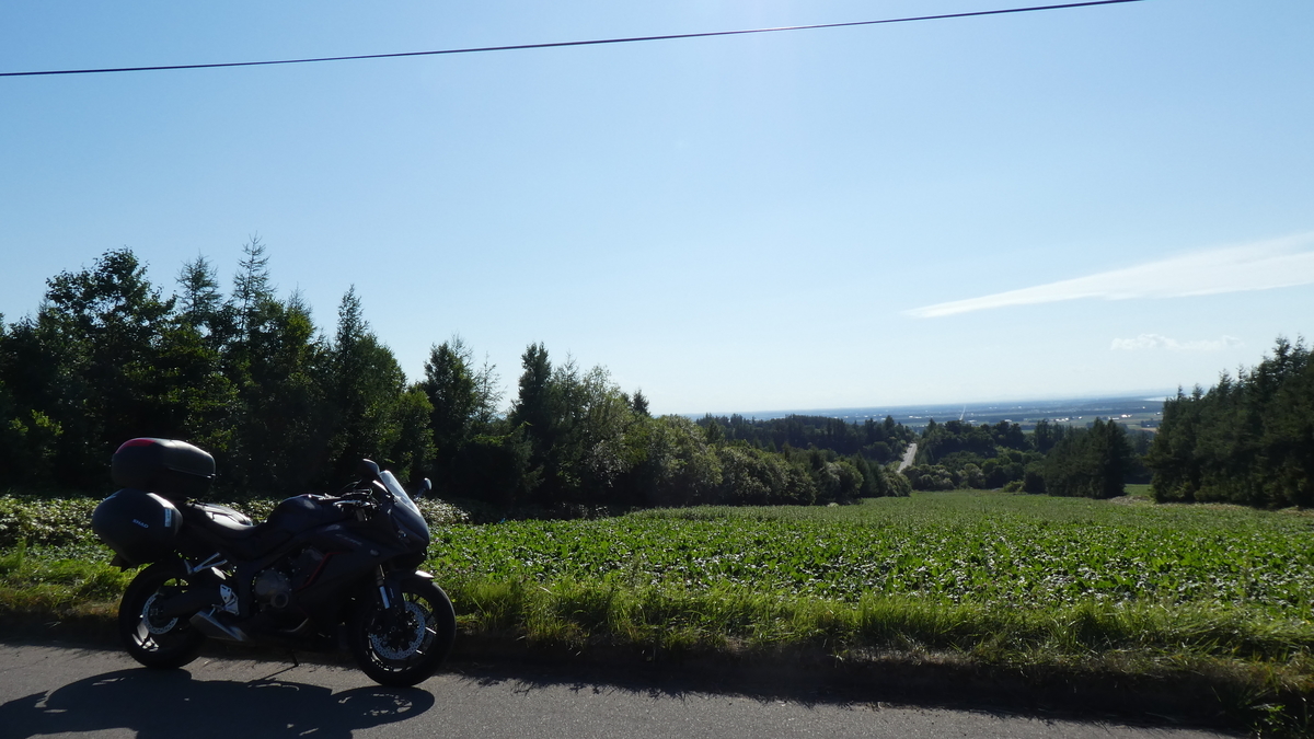 f:id:A_moyashi:20210128222201j:plain