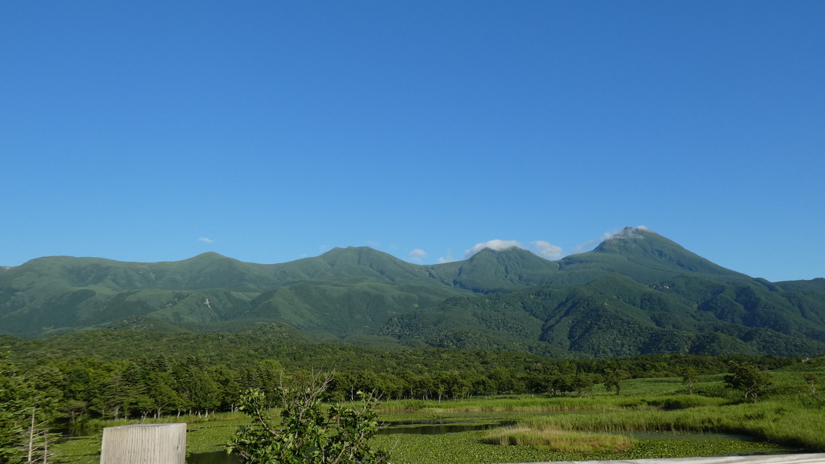 f:id:A_moyashi:20210128225318j:plain