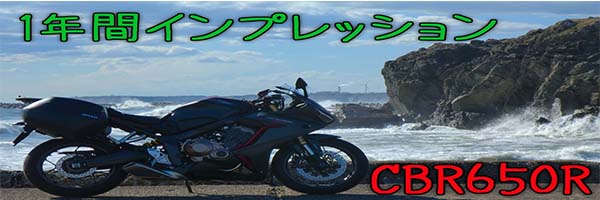 f:id:A_moyashi:20210401233225j:plain