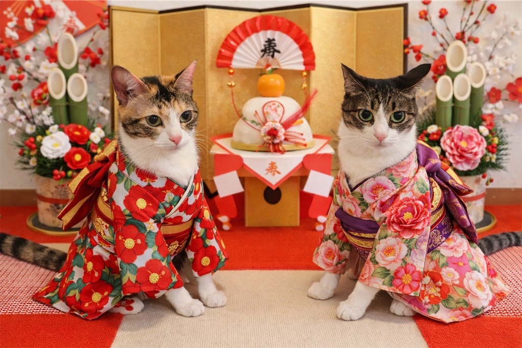 f:id:AandKplusB2018:20260101063508j:image