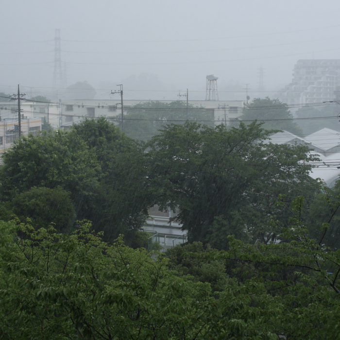 雨　公園