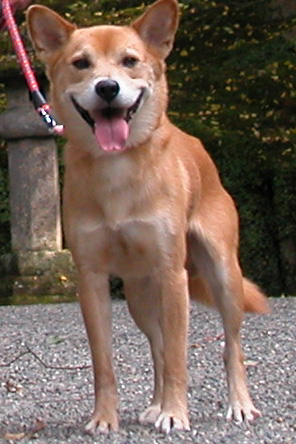 イメージ 1