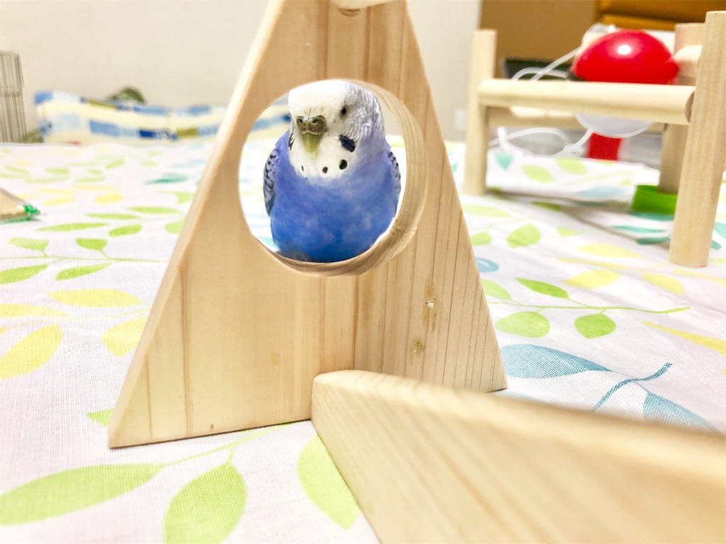 f:id:Abirdofhappiness:20190127220612j:image