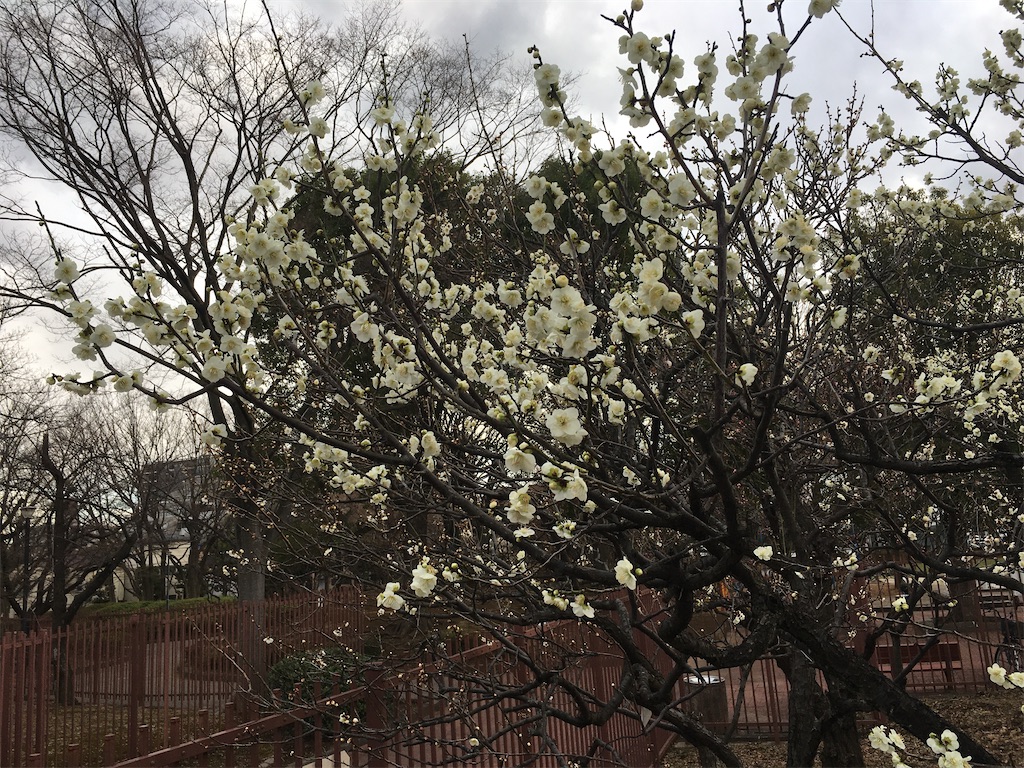 f:id:Abraham-Anaconda:20210218165300j:image f:id:Abraham-Anaconda:20210218165300j:image