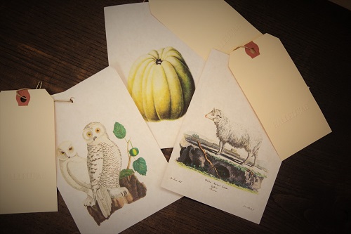 f:id:Ach-so-ne:20161114160939j:plain f:id:Ach-so-ne:20161114160939j:plain