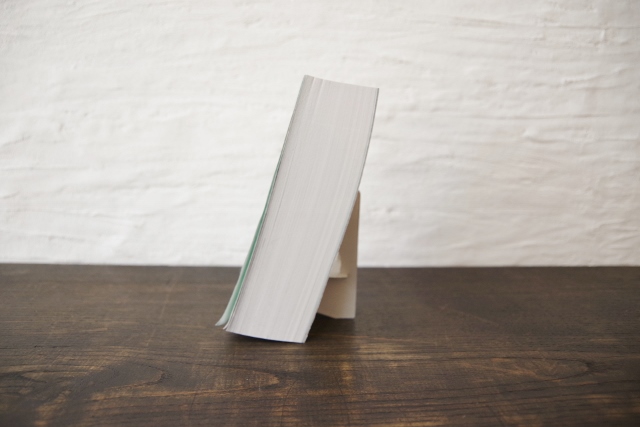 f:id:Ach-so-ne:20161201140646j:plain f:id:Ach-so-ne:20161201140646j:plain