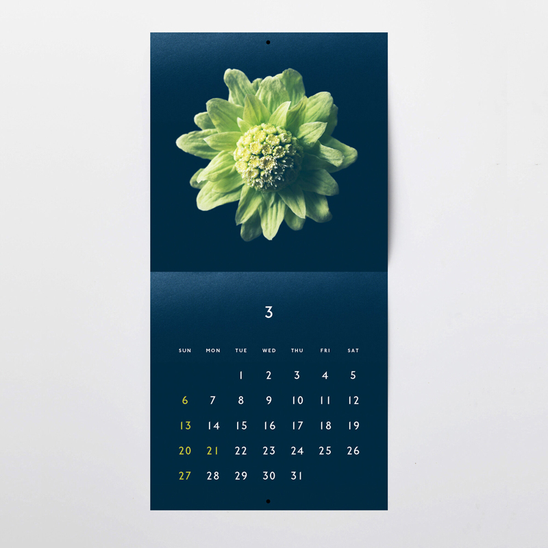 f:id:Ach-so-ne:20211014154332j:plain