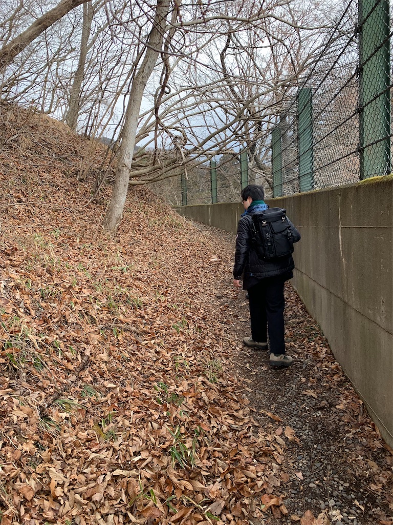 f:id:Acrophobia:20190318010349j:image