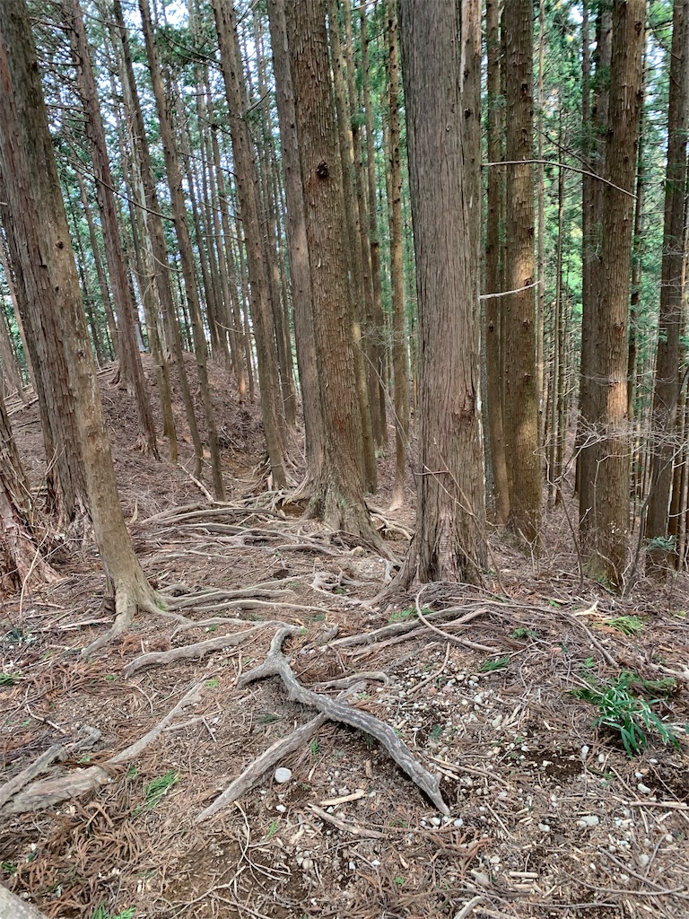 f:id:Acrophobia:20190318011259j:image