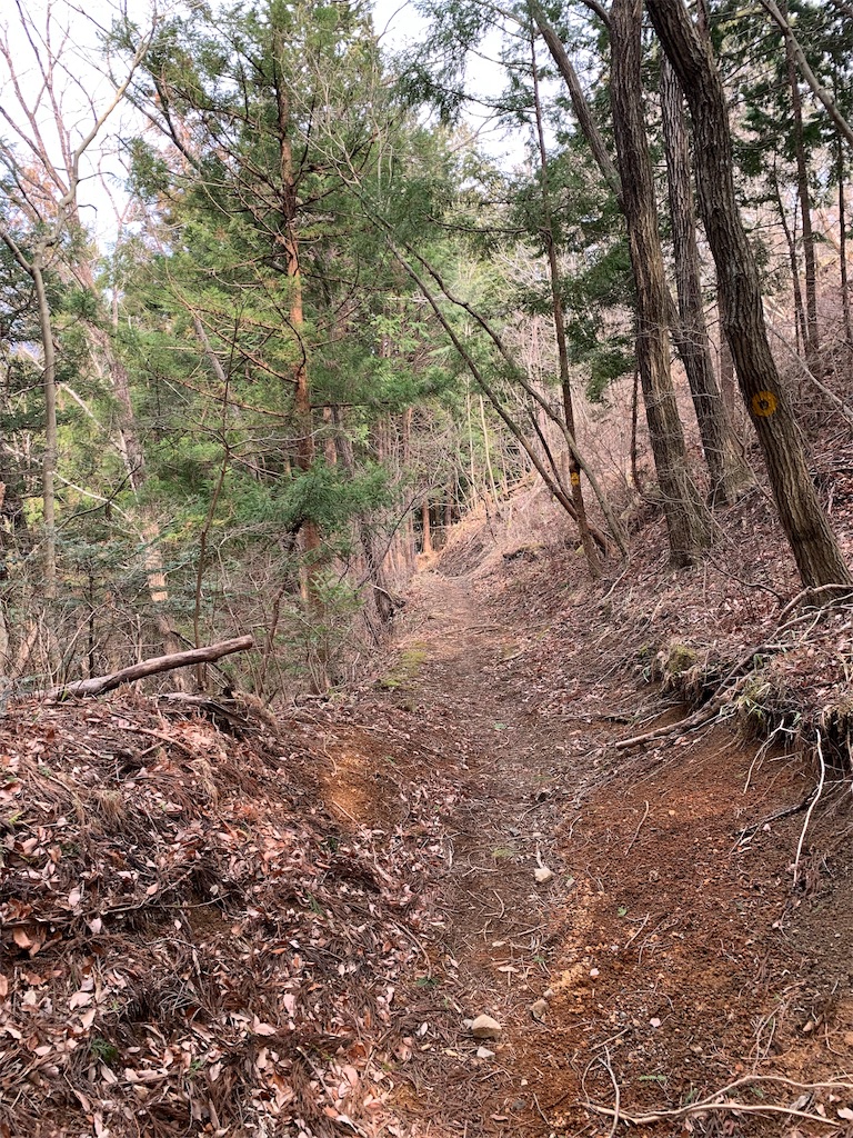 f:id:Acrophobia:20190318011307j:image